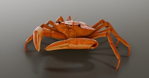 Animated Crab | 3D Animals | Unity Asset Store