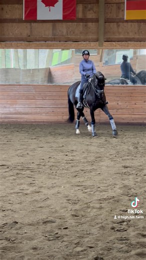 Sale horse Talladega B and I having a little fun on a chilly December day. N2 Saddlery The Cottage Equine Dressage Boutique Halter Ego | Amanda Barr Olson