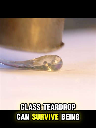 Prince Rupert’s Incredible Drop - This glass teardrop survives an iron hammer but explodes if you snap its tail! It is called a Prince Rupert's drop, made by dropping 2,732°F (1,500°C) molten glass in cold water. The extreme stress makes it indestructible at the head but incredibly fragile at the tail. #princerupertsdrop #science #physics #learnontiktok #mindblown #glass #experiment