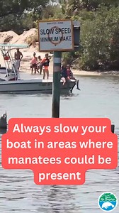 3.8K views · 127 reactions | It's a busy #labordayweekend for boating, so here are a few reminders on how to spot a #manatee. Please keep an extra eye out and report any sick or injured manatees immediately to the FWC Wildlife Alert hotline at 1-888-404-3922. | Save the Manatee Club | Facebook