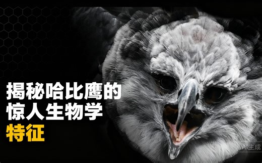 [中配]揭秘哈比鹰的惊人生物学特征 - Real Science