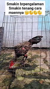 89K views · 1.6K reactions | #fyp | Irpan | Facebook