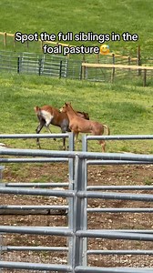 No doubt about Ruby & Knox being full siblings🤭😂 | Katie Van Slyke