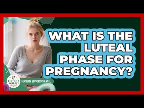 What Is The Luteal Phase For Pregnancy?