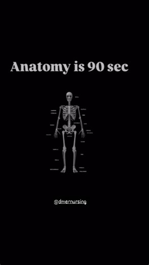 DMER NURSING on Instagram: "Complete Human Skeleton ✌️"