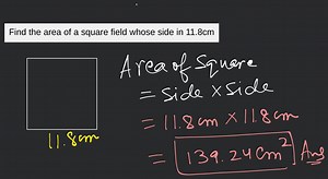 Find the area of a square field whose side in 11.8cm... | Filo