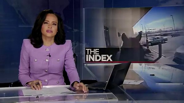 The Albuquerque police horse chase