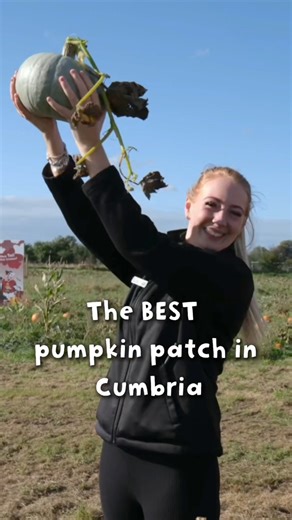 Walby Farm Park on Instagram: "The Pumpkin Patch at Walby Farm Park is growing fast 🌱 Pumpkin Picking on the Farm begins! 🧡 From 4 - 31 October, your day ticket includes: 🎃 Acres of homegrown pumpkins to explore 🎃 A FREE pumpkin for every paying child 🎃 The Bewitched BooGaloo Disco & Game Show – spooky fun for all ages (Half term only) 🎃 Pumpkin Carving – leave the mess with us! 🎃 Over 10 Insta-worthy photo spots 🎃 Corn & Pumpkin Cannon* – take aim and fire 🎃 The Cowshed Café serving pu