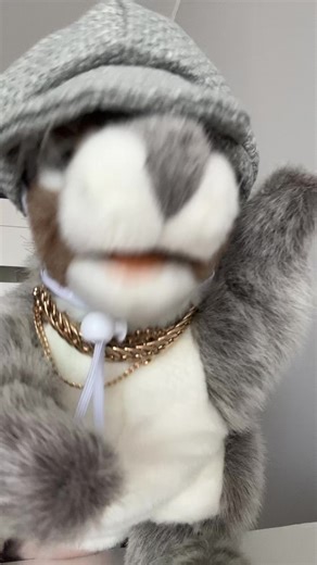 Discover the Best of Disco Polo Music