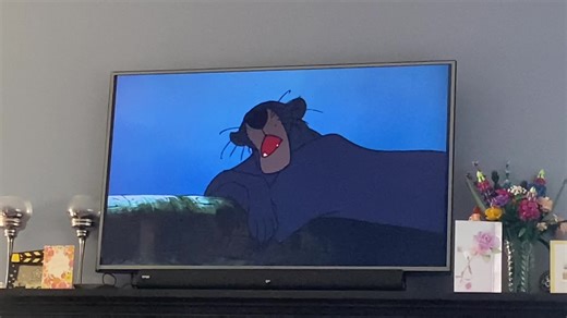 Kaa HOLD IT Kaa. #thejunglebook#junglebook#1967#60s#disney#animation#disneyanimation#bagheera#panther#kaa#snake#mowgli#mancub#jungle#animaloftiktok#animal#animalsoftiktok#animals#hypnotized#hypnotize#kaahypnotizedmowgli#kaahypnotizesmowgli#holdit#holditkaa#kaaholditkaa#hewontbehereinthemorning#🐆#fyp🐆#🖤#fyp🖤#🖤🐆#fyp🖤🐆#🐆🖤#fyp🐆🖤#🐍#fyp🐍#😵‍💫#fyp😵‍💫#🐍😵‍💫#fyp🐍😵‍💫#😵‍💫🐍#fyp😵‍💫🐍#relatable#😂#fyp😂#funny#nostalgic#nostalgia#🍁#fyp🍁#🍂#fyp🍂#🍃#fyp🍃#🍂🍁🍃#fyp🍂🍁🍃#falltime20