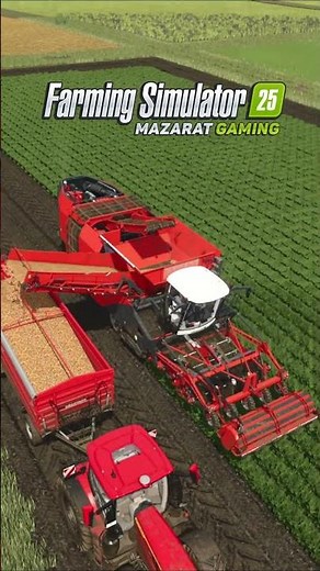 🥕 Carrot Harvest | Farming Simulator 25 🚜