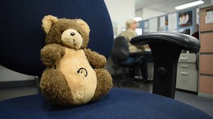 3.8K views · 67 reactions | MESSAGE FOR LAUNCESTON TEDDY BEARS: A...