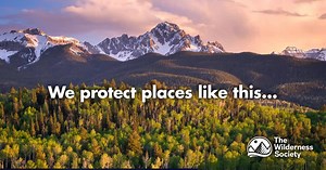 We are The Wilderness Society: a passionate community of nature lovers, animal protectors, conservation supporters, and land defenders. Together, we can save Our Wild. | The Wilderness Society