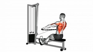 Cable Seated Wide-grip Row Exercise 3d Stock Footage Video (100% Royalty-free) 33735886 | Shutterstock