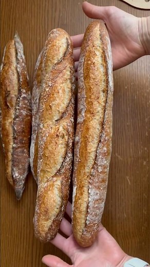 SOURDOUGH BAGUETTE with a Super Crispy Crust 🤤 (Stand Mixer Method)