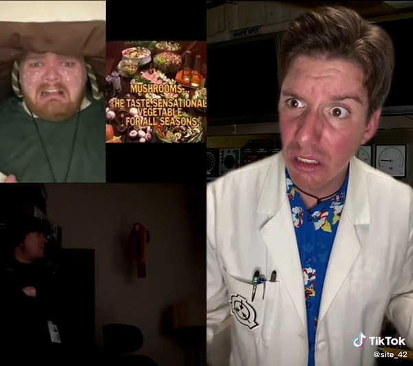 SCP Interrogation: Fae and Mushroom Inquiry Unveiled