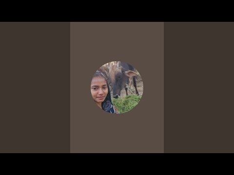 Up Ki Shakku is live