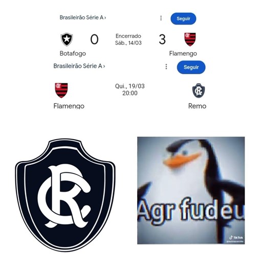 #brasileirão #shorts #2026 #flamengo #remo #edit