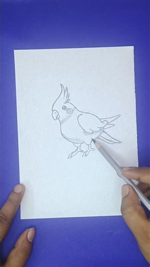 Beautiful Parrot Pencil Sketch | Easy Drawing Step by Step🦜🦜 #drawing #viral #shortsfeed #yt