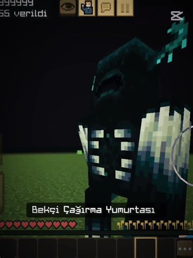 Minecraft effect commands