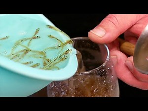Japanese Street Food - DANCING ICE FISH Okinawa Seafood Japan