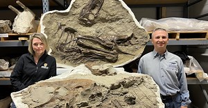 Dinosaur skeleton could sell for $8 million
