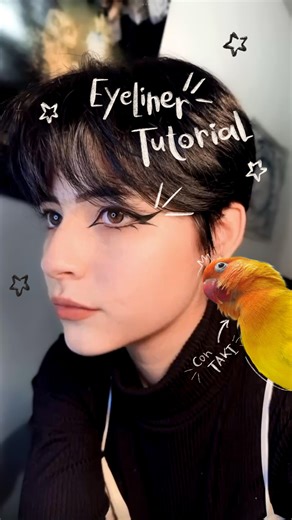 - Ryuk - on Instagram: "Ya está el tutorial del delineado, espero les sirva y les guste :) 🌷 . . . . . . . . . #makeup #eyeliner #makeuptutorial #eyelinertutorial #girls #skincareroutine"