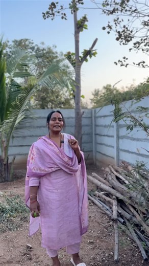 Lifeof Swvathi on Instagram: "ఎర్ర ఉసిరి కాయల చెట్టు"