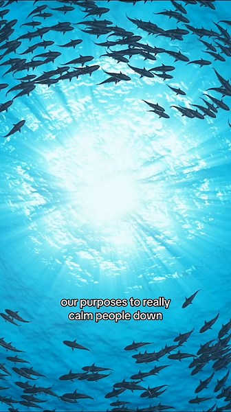 Exploring Liquid Neural Networks in AI Today