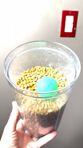 This is popping crazy #science #science #popcorn | Jason the Great