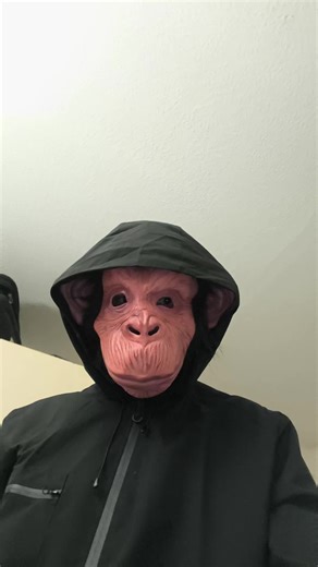„Qualität, die man sieht – diese Affenmaske wirkt echt.“ #Affenmaske #Hochwertig #MaskenLiebe #Karneval #fyp