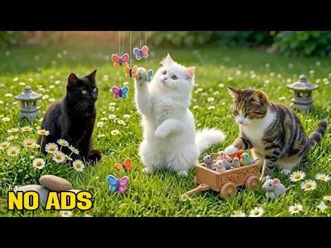 12 Hours Calming Music for Cats 😻 Soft Rest Flow for Anxious Cats & Cozy Night Sleep 🌈 Cat TV