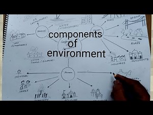 how to draw components of environment I how to draw a diagram of components of environment