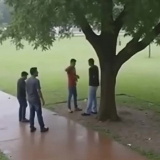 136K views · 469 reactions | Terrifying moment caught on camera: lightning strikes four men standing under a tree during rain — but one man miraculously escapes unharmed because... Watch in 1st comments. | Top TV | Facebook