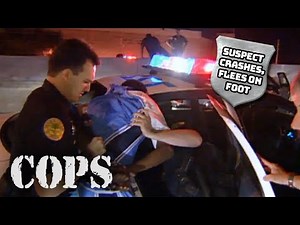 High-Speed Chase: Suspect Crashes, Flees on Foot | Miami, FL | COPS TV Show