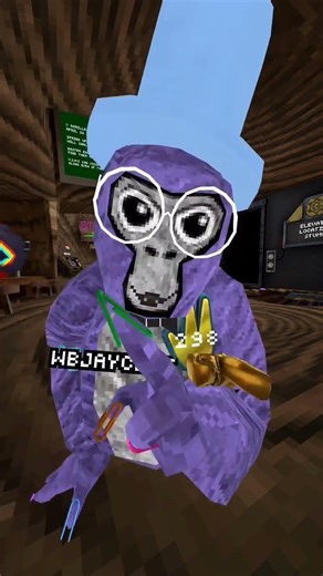 new color code! #gorillatag #gorillatagquest #gtag #EM4AA #WB4AA #WB4LIVE