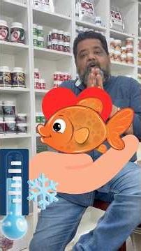 Discover the BEST AQUARIUM STORE in Bengaluru in 2025