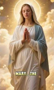 What Catholics Truly Believe | Catholic Faith Explained