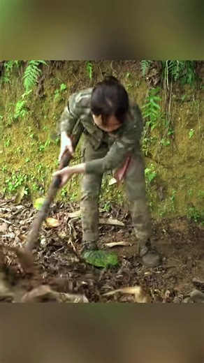 Rules for survival in the jungle#nature #bamboohouse #bamboo #singlemom #mom