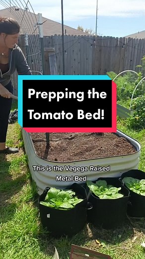 Prepping my New Tomato Bed with Vegega Garden Raised Metal Beds