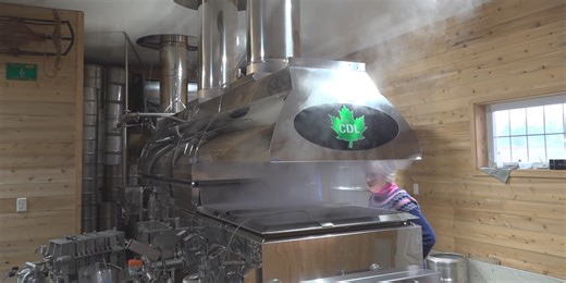 Celebrate Maine Maple Weekend at Williams Family Farm