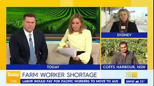 "This is going to be unaffordable for Australian families." The impact of farm worker shortages is being felt right across the country. Labor has unveiled its plan to address the problem, targeting workers from the Pacific, essentially axing the current agriculture visa. #9Today | TODAY