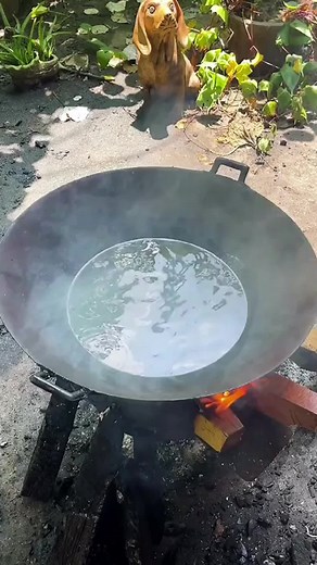 Miles Lyes sur TikTok