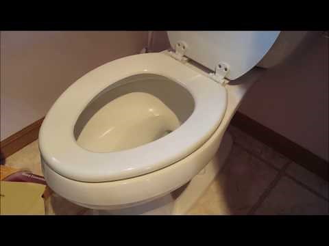 How to Take a Toilet Seat Off
