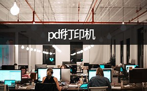 pdf打印机怎么设置？pdf打印设置教学