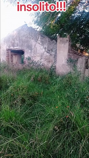 #parati #paratiiiiiiiiiiiiiiiiiiiiiiiiiiiiiii #gilda #viraltiktok #viral?tiktok🥰 insolito lo que me encontré!!!@Gilda Un Amor Verdadero ♪ @Gilda @Gilda @Gilda Una Pasión Verdadera @