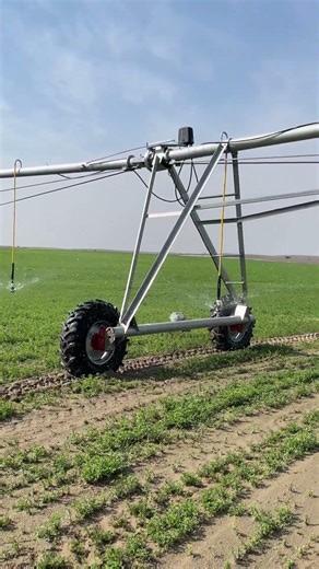 Modern Farming In Pakistan #agri #farming #agriculture #youtubeshorts #shorts