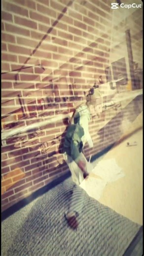 Gonna miss swim season