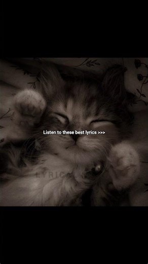 Kaashish!! 👀🫶🏻 || #song #LyricalAuraOfficial