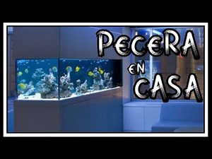 IDEAS PARA COLOCAR UNA PECERA EN CASA